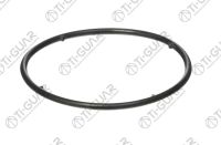 Кольцо уплотнительное TG-RS029/90301-68005 Ti•GUAR